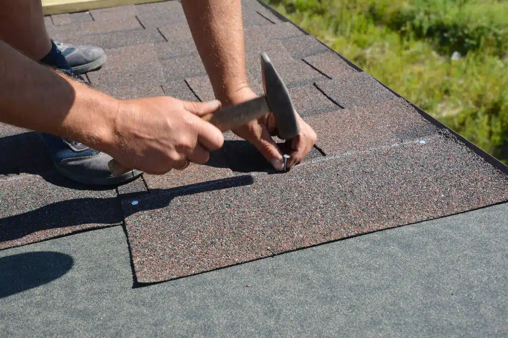Factors That Influence Roof Longevity in Apex