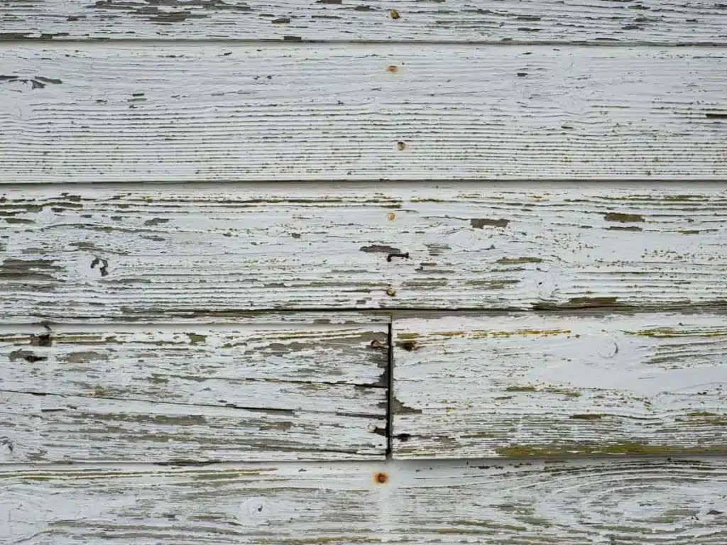 Damaged Siding Paint