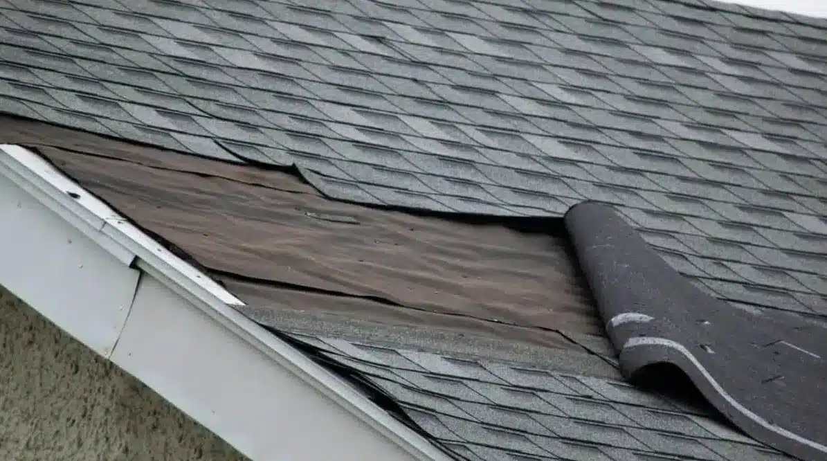 Roof Shing damage by Storm